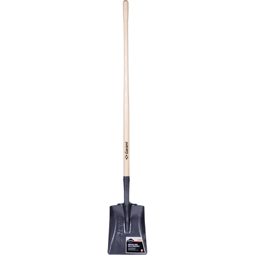 Pelle carr&eacute;e  Pro, Bois, Lame Acier durci, Manche en Droit, Longueur 48" Duraquip Inc