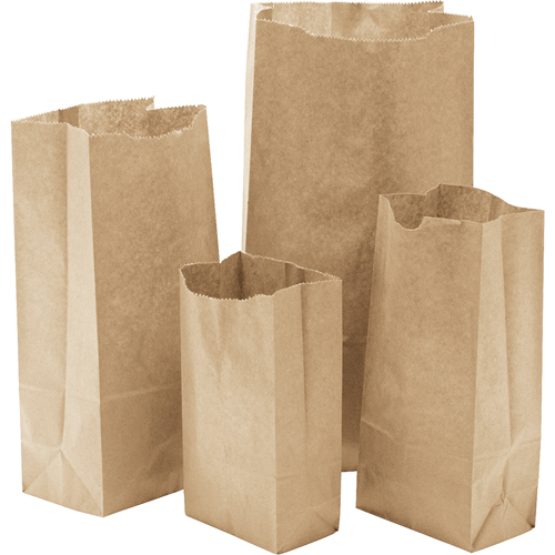Paper Bags, Paper, 6" W x 11-0/0" L Duraquip Inc