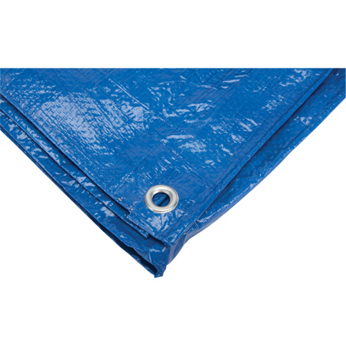 B&acirc;che, Standard, Bleu, 7' x 5' x 4 mils Duraquip Inc