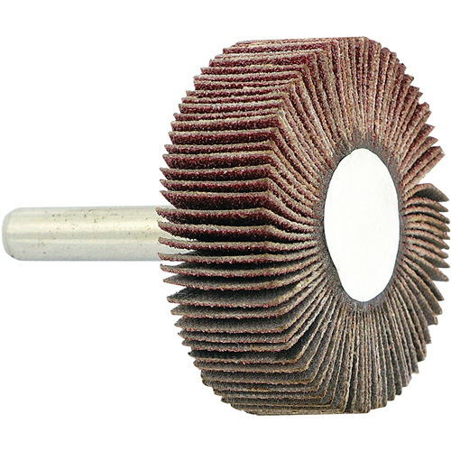 Disque &agrave; lamelles mont&eacute; sur mandrin, Grain 80, 1-1/2" x 1/2" x 1/4" Duraquip Inc