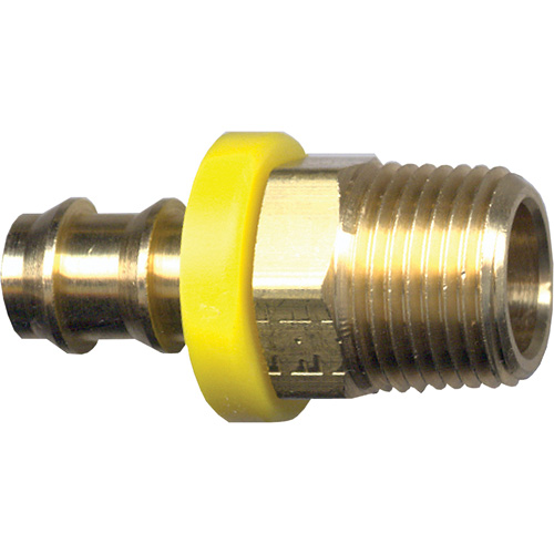 Grip-Tite Male Pipe Hose Fitting, 1/4" x 1/4" Dia, Brass Duraquip Inc