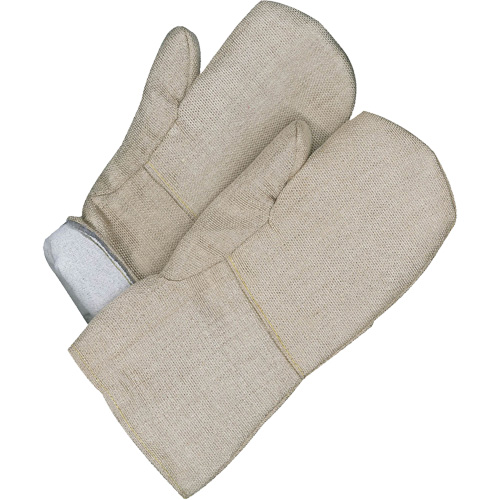 Gander Brand Mitt, Fibreglass, One Size, Protects Up To 608° F (320° C ) Duraquip Inc