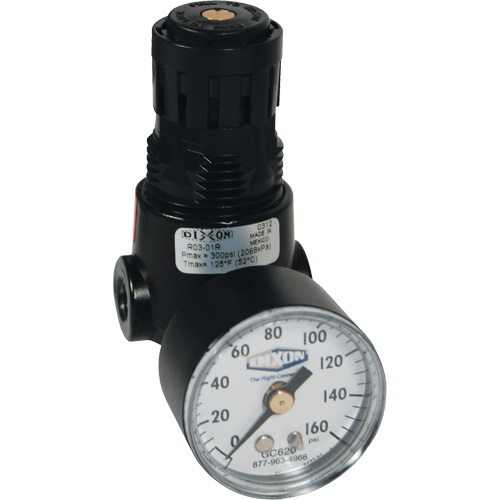 Wilkerson Miniature Regulator R04, 1/4" NPT, 300 psi Max. PSI, Standard Duraquip Inc