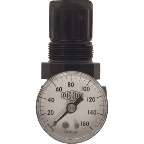 R&eacute;gulateur miniature de s&eacute;rie 1, 1/8" NPT, PSI max. de 100 psi, Standard Duraquip Inc