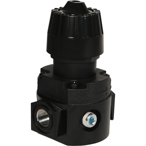 R&eacute;gulateur compact R16 Wilkerson, 1/4" NPT, PSI max. de 300 psi, Standard Duraquip Inc