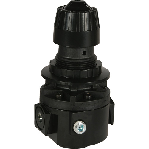 R&eacute;gulateur Wilkerson R26, 1/2" NPT, PSI max. de 300 psi, Standard Duraquip Inc