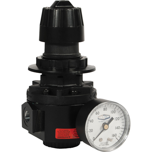 R&eacute;gulateur Wilkerson R26, 1/2" NPT, PSI max. de 300 psi, Standard Duraquip Inc