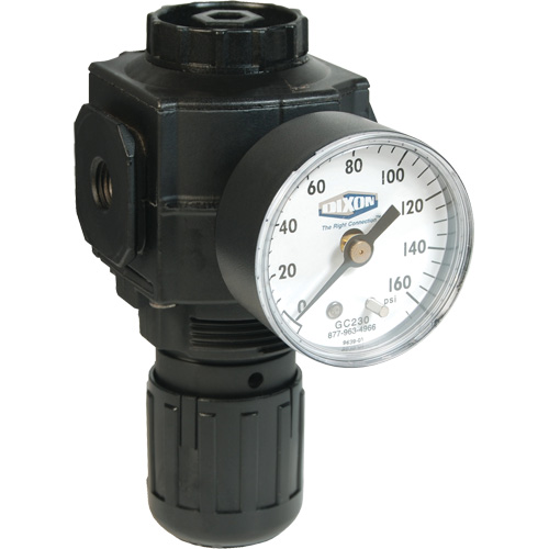 Series 1 Compact Regulator, 1/2" NPT, 150 PSI Max. PSI, Standard Duraquip Inc