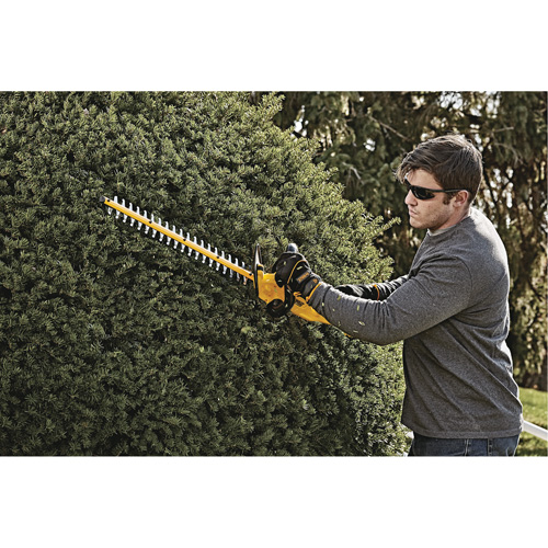 Taille-haie MAX*, 22", 20 V, &agrave; pile Duraquip Inc