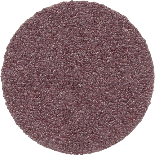 Meule en toile PSA 348D, 20" dia., Grain 60, Oxyde d'aluminium Duraquip Inc