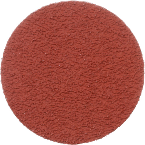 Disque &agrave; d&eacute;ligner durable II Roloc Cubitron, 2" dia., Grain 60+, C&eacute;ramique Duraquip Inc