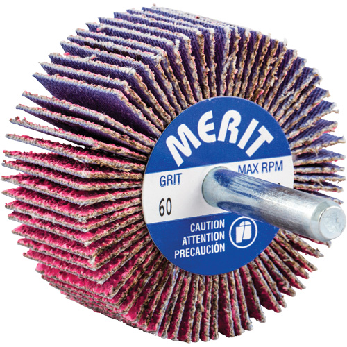 Mini-meule &agrave; lamelles mont&eacute;e sur tige, C&eacute;ramique d'alumine, Grain 60, 2" x 1" x 1/4" Duraquip Inc