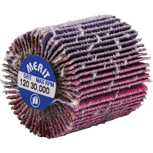 Mini-meule &agrave; lamelles filet&eacute;es, C&eacute;ramique d'alumine, Grain 120, 1" x 1" x 1/4"-20 Duraquip Inc