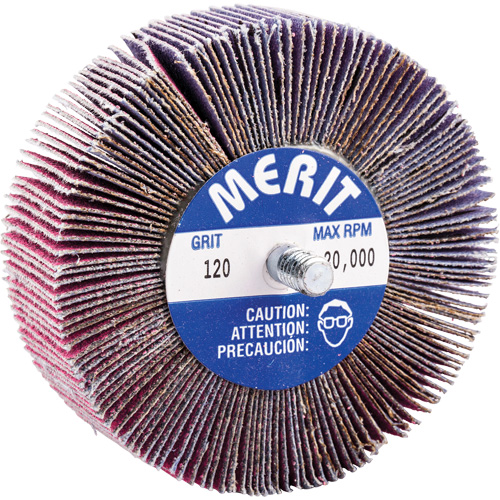 Mini-meule &agrave; lamelles filet&eacute;es, C&eacute;ramique d'alumine, Grain 120, 3" x 1" x 1/4"-20 Duraquip Inc
