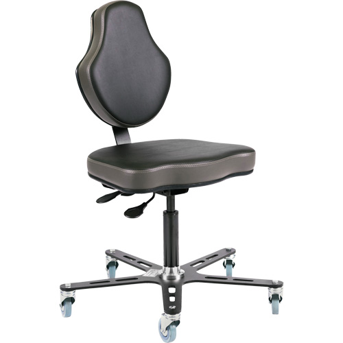 Vega Multi-Tilt Ergonomic Chair, Mobile, Adjustable Height Duraquip Inc