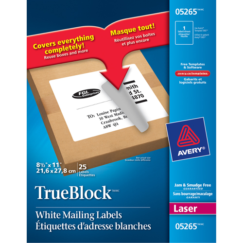 &eacute;tiquettes d'exp&eacute;dition au laser TrueBlock, 11" la x 8,5" la x Blanc Duraquip Inc