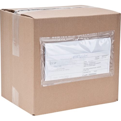 Packing List Envelopes, 3-3/4" L x 7" W, Computer Style Duraquip Inc