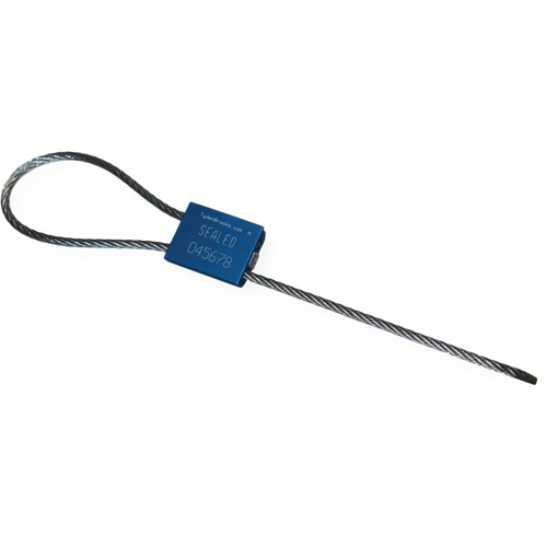 Scell&eacute; de s&eacute;curit&eacute; &agrave; c&acirc;ble Flexsecure FS35, 12", M&eacute;tal, Scell&eacute; &agrave; c&acirc;ble Duraquip Inc