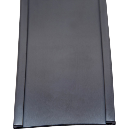 Porte-&eacute;tiquette, Magn&eacute;tique, 600" lo x 2" la Duraquip Inc