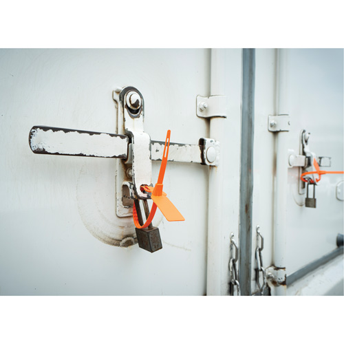 Scell&eacute; de s&eacute;curit&eacute;, 7-3/4", Plastique, Scell&eacute; pour camion Duraquip Inc