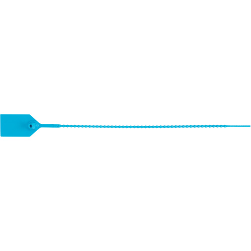 Scell&eacute; de s&eacute;curit&eacute; standard, 12", Plastique, Scell&eacute; en plastique Duraquip Inc