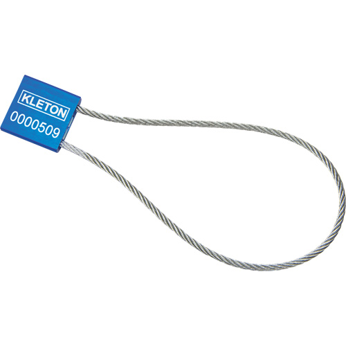 High Security Security Seal, 12", Metal, Cable Seal Duraquip Inc