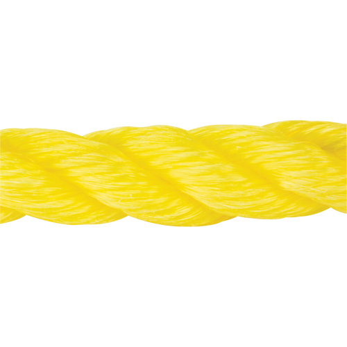 Corde jaune tress&eacute;e, Polypropyl&egrave;ne, 300' Duraquip Inc
