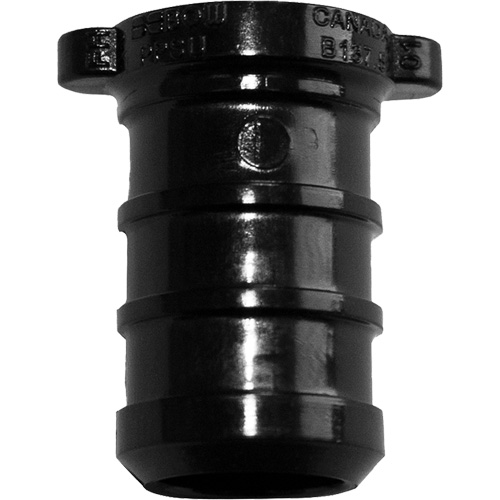 Pipe Plug, Pipe, 1" Dia., Polyalloy Duraquip Inc