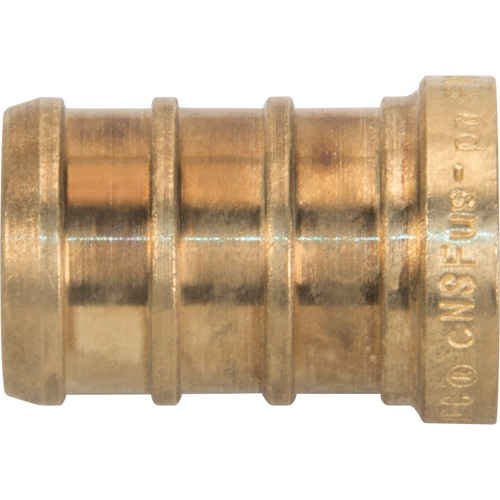 Lead-Free Pipe Plug, Pipe, 1/2" Dia., Brass Duraquip Inc