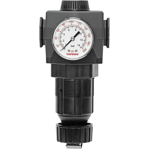 Regulator with Gauge Modulair 400, 3/4" NPTF, 125 PSI Max. PSI, In Line/Modular Duraquip Inc