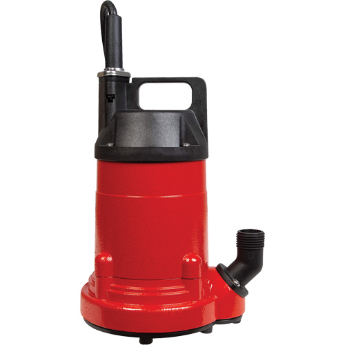 Pompe utilitaire en aluminium, 115 V, 1500 gal./h, 1/4 CV Duraquip Inc