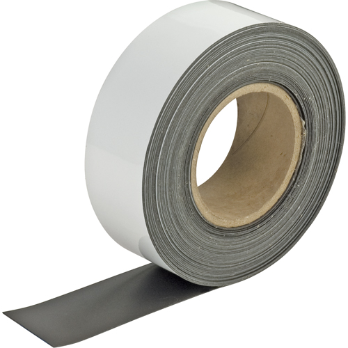 Write-On Magnetic Tags, Magnetic, 600" L x 2" W Duraquip Inc