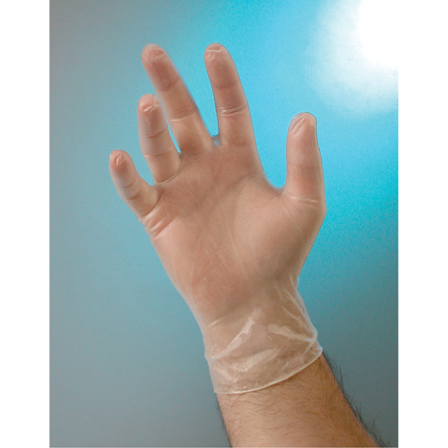 Examination Grade Gloves, Small, Vinyl, 4-mil, Powder-Free, Clear, Class 2 Duraquip Inc