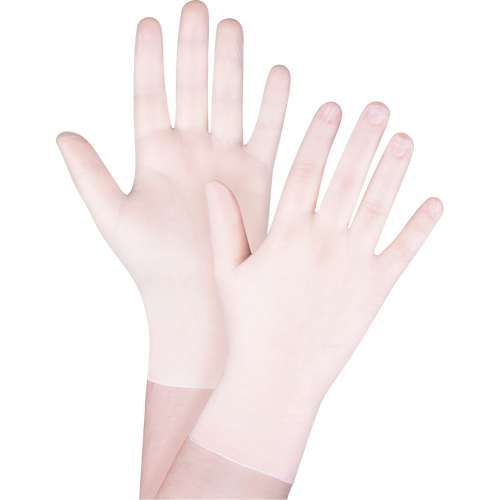 Disposable Gloves, X-Small, Vinyl, 4-mil, Powder-Free, White Duraquip Inc