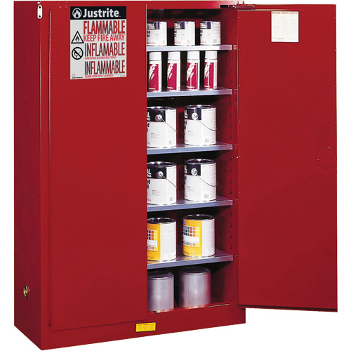 Armoire de s&eacute;curit&eacute; pour la peinture et les encres combustibles EX Sure-Grip, 60 gal., 5 tablettes Duraquip Inc
