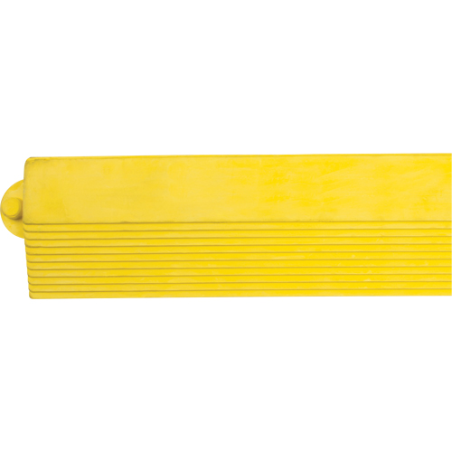 Rampe de bordure pour tapis Duraquip Inc