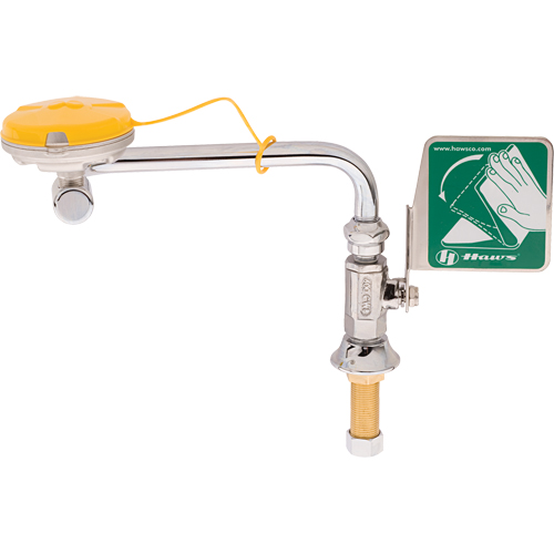 Axion&reg; Eye/Face Wash Station, Sink Mount Installation Duraquip Inc