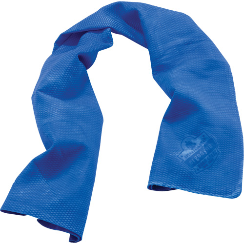 Chill-Its&reg; 6602 Cooling Towels, Blue Duraquip Inc