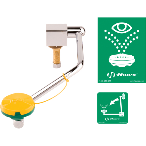 Eye/Face Wash Station, Sink Mount Installation Duraquip Inc