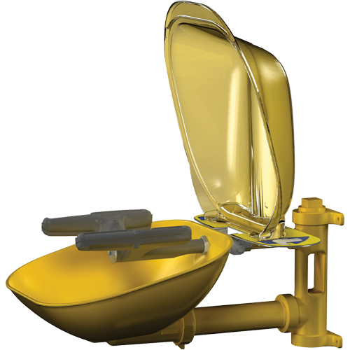 Halo Face/Eyewash Stations, Wall-Mount Installation, Plastic Bowl Duraquip Inc