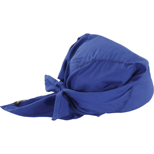 Foulards de refroidissement en triangle Chill-Its 6710CT, Bleu Duraquip Inc