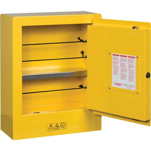 Sure-Grip&reg; EX Mini Flammable Safety Cabinet, 2 Gal., 1 Door, 17" W x 22" H x 8" D Duraquip Inc