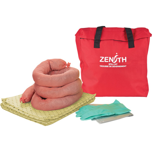 Spill Kit, Hazmat, Bag, 5 US gal. Absorbancy Duraquip Inc