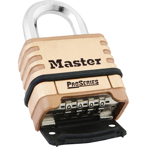 Cadenas &agrave; combinaison ProSeries, Argent, Rev&ecirc;tement en laiton, Largeur de 2-1/4" Duraquip Inc