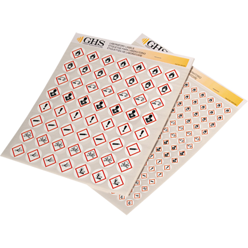 Assortiment d'&eacute;tiquettes avec pictogrammes sgh, Vinyle, Feuille, 1" lo x 1" la Duraquip Inc