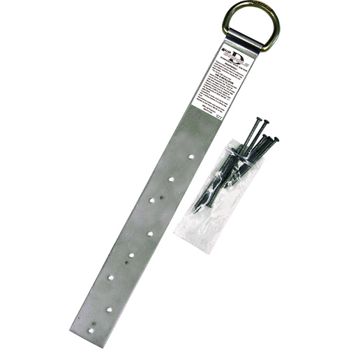 Miller&reg; Single Roof Anchor, D-Ring, Permanent Use Duraquip Inc
