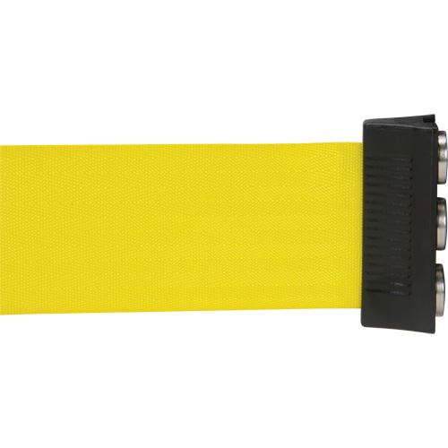 Wall Mount Barrier with Magnetic Tape, Steel, Screw Mount, 12', Yellow Tape Duraquip Inc