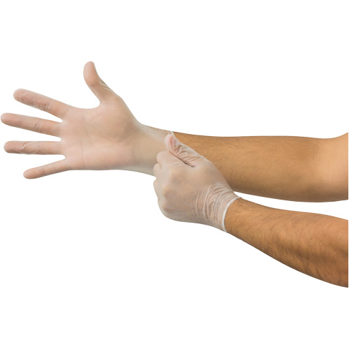 MicroFlex&reg; Disposable Gloves, Small, Vinyl, 2.8-mil, Powder-Free, Clear Duraquip Inc