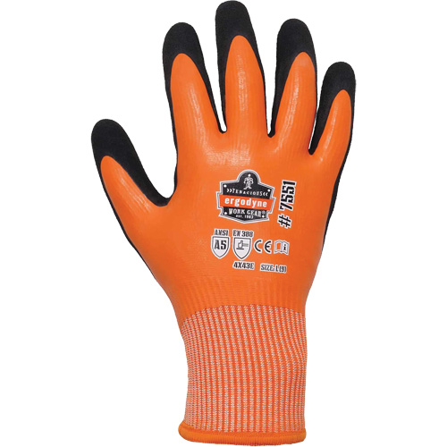 Gants de travail enduits et r&eacute;sistant &agrave; la coupe pour l'hiver ProFlex 7551, Taille Petit, Calibre 10/13, Rev&ecirc;tement Nitrile/Latex de caoutchouc, Enveloppe en PEHP, ASTM ANSI niveau A5/EN 388 niveau E Duraquip Inc
