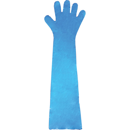 Disposable Gloves, Polyethylene, Powder-Free, Blue Duraquip Inc